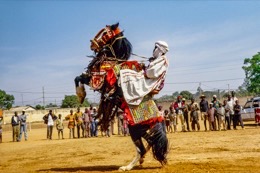 Africa;Baatonbou;Baatonou;Bariba;Benin;Gaani;Horseman;Horsemen;Horses;Kaleidos;Kaleidos-images;La-parole-à-limage;Riders;Tarek-Charara;Dongola
