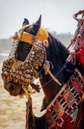 Africa;Adornments;Baatonbou;Baatonou;Bariba;Benin;Gaani;Hackamores;Horses;Kaleidos;Kaleidos-images;La-parole-à-limage;Tarek-Charara;Dongola