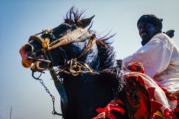 Africa;Baatonbou;Baatonou;Bariba;Benin;Gaani;Hackamores;Horseman;Horsemen;Horses;Kaleidos;Kaleidos-images;La-parole-à-limage;Riders;Tarek-Charara;Dongola