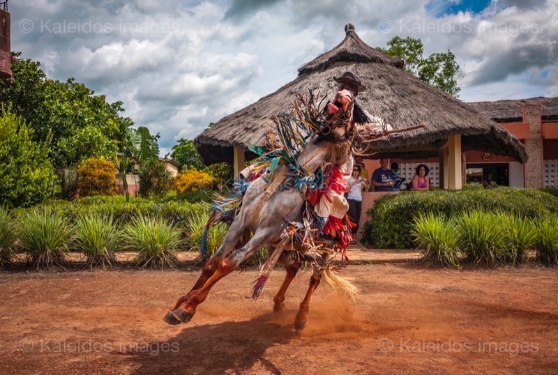 Africa;Benin;Gaani;Horseman;Horsemen;Horses;Kaleidos;Kaleidos images;La parole à l'image;Riders;Souleiman Gnora;Tarek Charara;Tourists