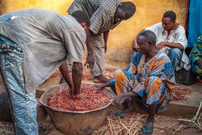 Africa;Benin;Kaleidos;Kaleidos images;La parole à l'image;Millet;Moussa Atta;Moussolomi Congacou;Tarek Charara;Red millet