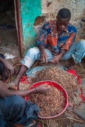 Africa;Benin;Kaleidos;Kaleidos-images;La-parole-à-limage;Millet;Tarek-Charara;Red-millet