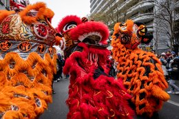 19e-arrondissement;-Année-du-Lapin;-Arbres;-Belleville;-Costumes-traditionnels;-Culture-chinoise;-Danse-des-lions;-Danse-du-lion;-Danseurs;-Défilé;-Fête-traditionnelle;-France;-Franges;-Kaleidos;-Kaleidos-images;-La-parole-à-limage;-Lapin-deau;-Lion-rouge;-Lions;-Lions-orange;-Mauvais-esprits;-Médaillons;-Nouvel-an-chinois;-Nouvel-an-lunaire;-Paris;-Porte-bonheur;-Rue-de-Belleville;-Spectateurs;-Stories-Pictures;-Tarek-Charara;-Trottoir