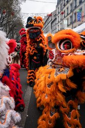 19th-arrondissement;-Belleville;-Chinese-characters;-Chinese-culture;-Chinese-New-Year;-Dancers;-Evil-spirits;-France;-Good-luck-charm;-Kaleidos;-Kaleidos-images;-La-parole-à-limage;-Lion-dance;-Lions;-Lunar-New-Year;-Orange-lions;-Parade;-Paris;-Red-lanterns;-Rue-de-Belleville;-Sign;-Spectators;-Stories-Pictures;-Tarek-Charara;-Traditional-costumes;-Traditional-festival;-Trees;-Water-Rabbit;-Year-of-the-Rabbit