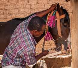 Moussa Atta prepares his Danda for the Gaani