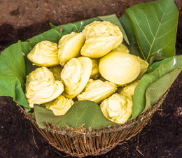 Shea butter