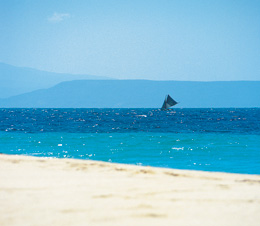 The Caribbean